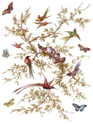IOD Madeleine Transfer Botanical Floral Tropical Jungle Bird Furniture Restoration Vintage style Cabinets Dressers Craft Project Handmade Gifts