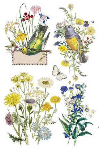 IOD Flora Greca Transfer Spring release French Country Decor Rub on Decal for Furniture Makeover Projects Mixed Media Craft Art Junk Journal