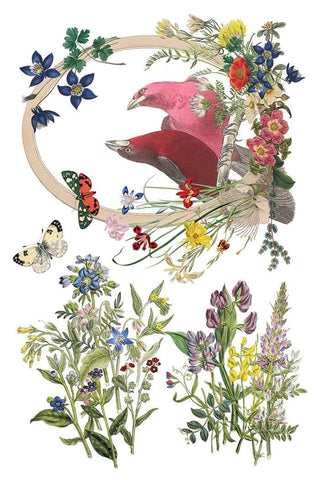 IOD Flora Greca Transfer Spring release French Country Decor Rub on Decal for Furniture Makeover Projects Mixed Media Craft Art Junk Journal