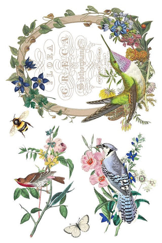 IOD Flora Greca Transfer Spring release French Country Decor Rub on Decal for Furniture Makeover Projects Mixed Media Craft Art Junk Journal