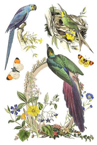 IOD Flora Greca Transfer Spring release French Country Decor Rub on Decal for Furniture Makeover Projects Mixed Media Craft Art Junk Journal