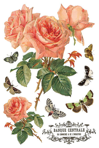 IOD New 2026 Spring By Any Other Name Transfer French Country Rub on Decal for Furniture Makeover Project Mixed Media Craft Art Junk Journal