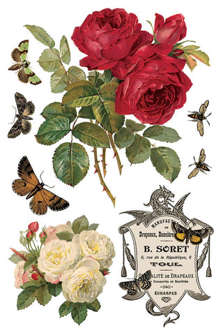 IOD By Any Other Name Transfer Spring release French Country Rub on Decal for Furniture Makeover Projects Mixed Media Craft Art Junk Journal