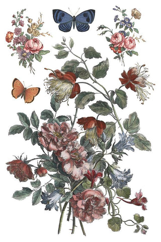 IOD Saint Ouen Transfer Spring release French Country Rub on Decal for Furniture Makeover Projects Mixed Media Craft Art Junk Journal