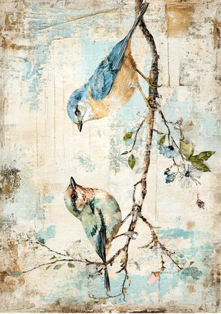 Songbird Duet By Elsie Lane DecoPosh Decoupage Paper A4 SIZE
