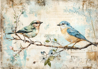 Songbird Duet By Elsie Lane DecoPosh Decoupage Paper A4 SIZE