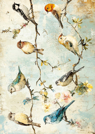 Songbird Society Elsie Lane DecoPosh Decoupage Paper A4 SIZE