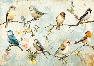 Songbird Society Elsie Lane DecoPosh Decoupage Tissue Paper 21"X29" Inch Large paper size