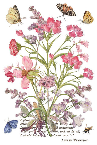 Primrose Isle IOD Summer 2026 Transfer Rub-On Decal Transfer French Country Furniture Decor Transfer DIY Makeovers Unique Home Decor Project