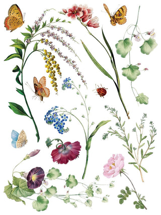 IOD NEW Marché des Fleurs Summer Transfer French Country Rub on Decal for Furniture Makeover Projects Mixed Media Craft Art Junk Journal