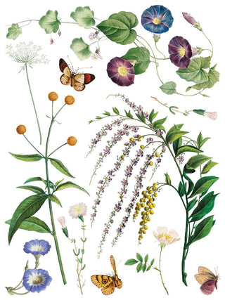 IOD NEW Marché des Fleurs Summer Transfer French Country Rub on Decal for Furniture Makeover Projects Mixed Media Craft Art Junk Journal