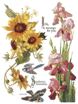 IOD NEW Flowers by the Poets Summer Transfer French Country Rub on Decal for Furniture Makeover Projects Mixed Media Craft Art Junk Journal