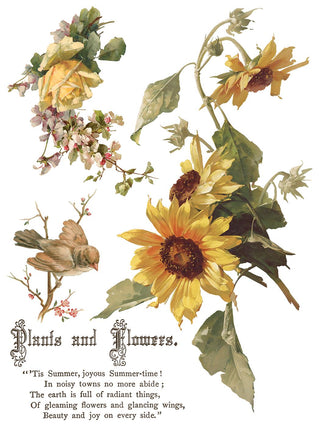 IOD NEW Flowers by the Poets Summer Transfer French Country Rub on Decal for Furniture Makeover Projects Mixed Media Craft Art Junk Journal