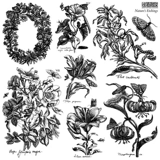 IOD New Nature's Etchings 12x12 Summer IOD Stamp 2 Sheets Rubber Silicone Stamp Home Decor DIY Furniture Stamp Custom personalize home decor