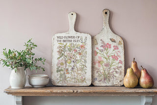Primrose Isle IOD Summer 2026 Transfer Rub-On Decal Transfer French Country Furniture Decor Transfer DIY Makeovers Unique Home Decor Project
