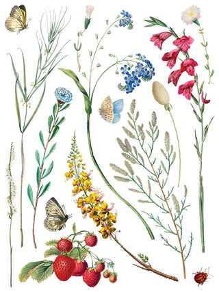 IOD NEW Marché des Fleurs Summer Transfer French Country Rub on Decal for Furniture Makeover Projects Mixed Media Craft Art Junk Journal