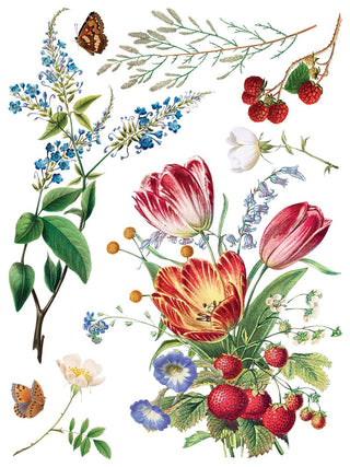 IOD NEW Marché des Fleurs Summer Transfer French Country Rub on Decal for Furniture Makeover Projects Mixed Media Craft Art Junk Journal
