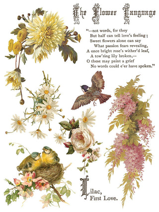 IOD NEW Flowers by the Poets Summer Transfer French Country Rub on Decal for Furniture Makeover Projects Mixed Media Craft Art Junk Journal