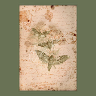 Summer Curio Moths Elsie Lane DecoPosh Decoupage Tissue Paper 14x20 inch
