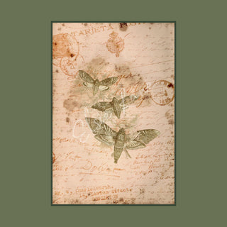 Curio Moths Elsie Lane Decoupage Paper Paper A4 SIZE