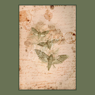 Curio Moths Elsie Lane Decoupage Paper Paper A4 SIZE