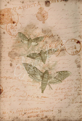 Curio Moths Elsie Lane Decoupage Paper Paper A4 SIZE