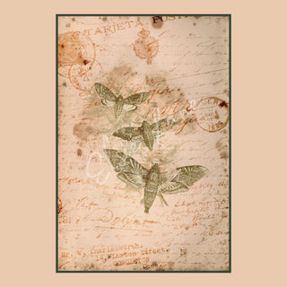 Summer Curio Moths Elsie Lane DecoPosh Decoupage Tissue Paper 14x20 inch