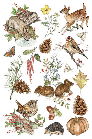 NEW Winter IOD The BRAMBLEWOOD Diaries 2026 Transfer 8x12 Rub On Decal Transfer Furniture Decor Makeovers Junk Journal Project stickers