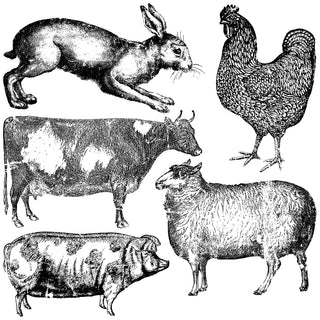 IOD Home Decor Stamps Farm Animals