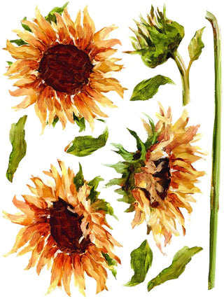 Transfer Painterly Florals