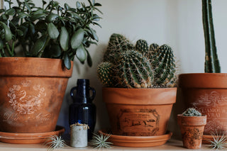 Transfer Traditional Pots